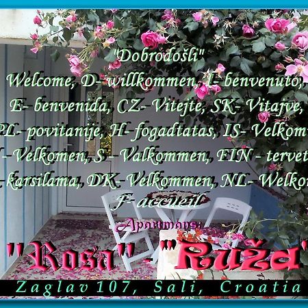Apartment Ruza Сали Экстерьер фото